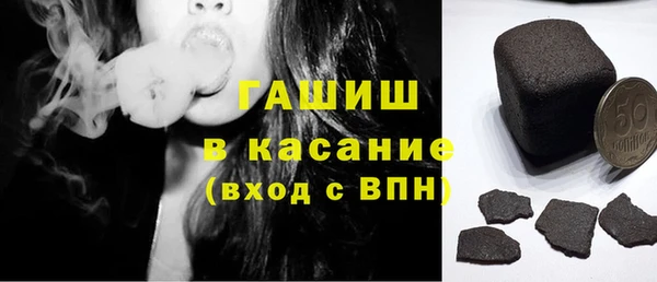 индика Алагир