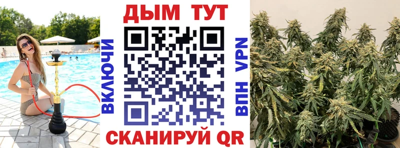 Конопля гибрид Кологрив